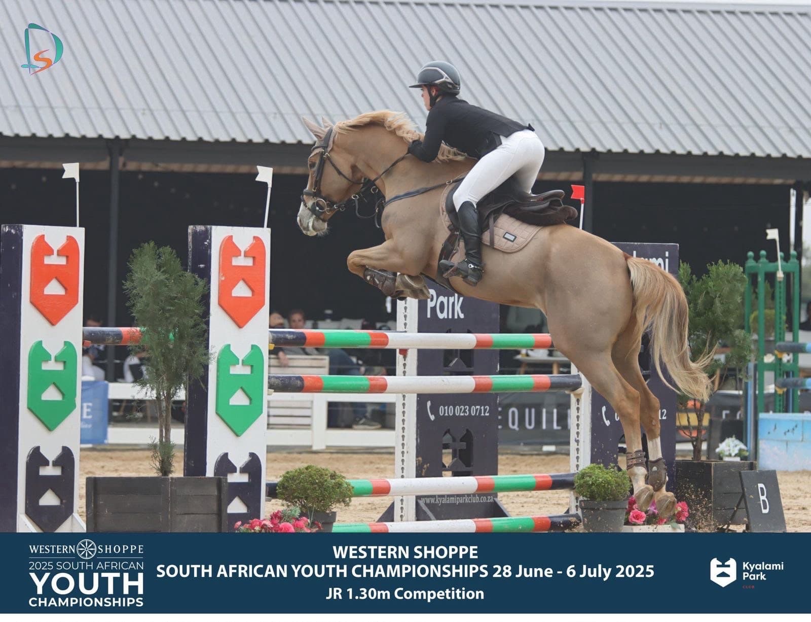 Competing at 1.30m