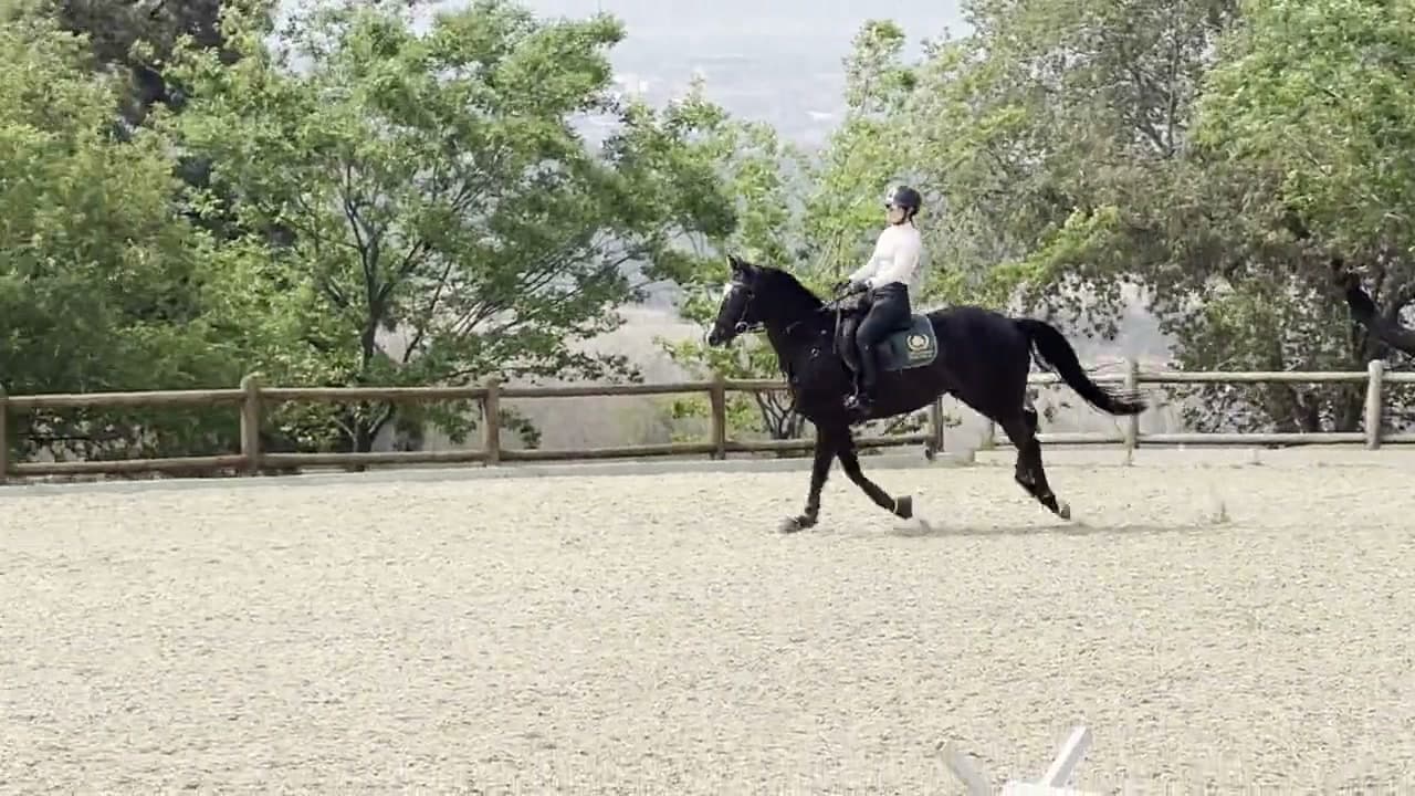 Video — Schooling at home