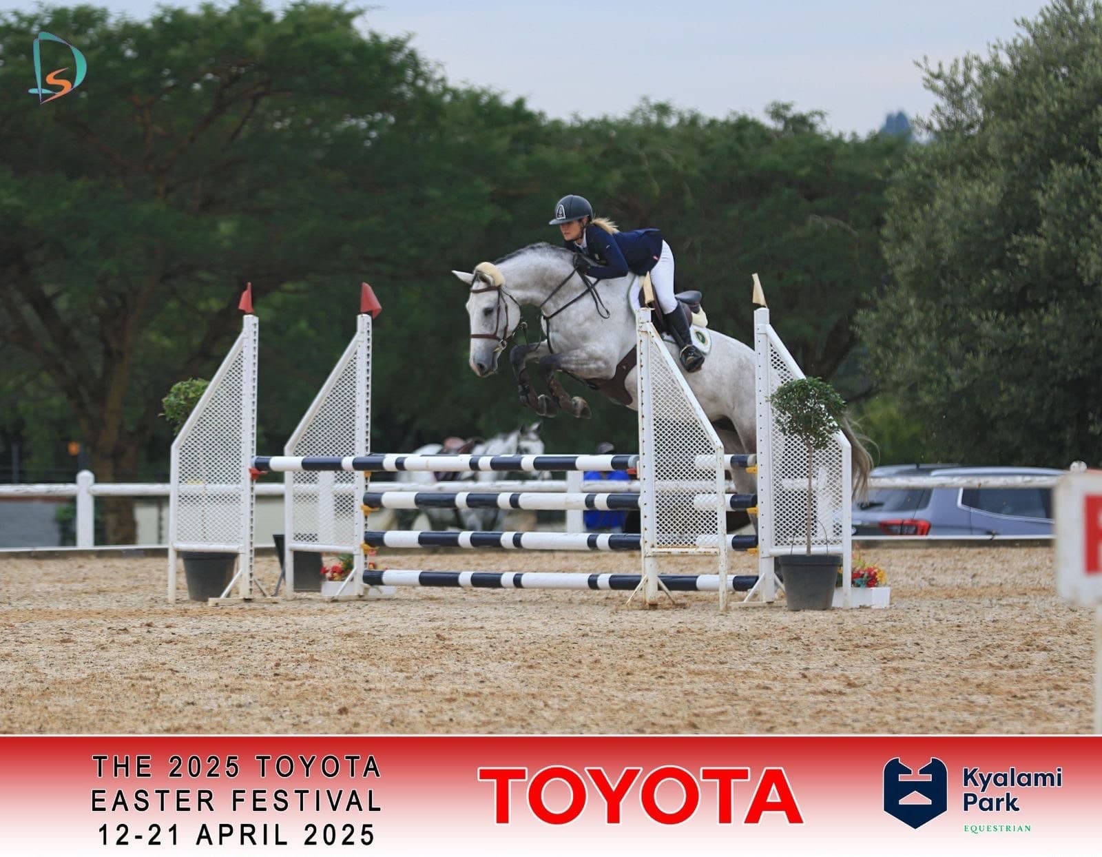 Show jumping